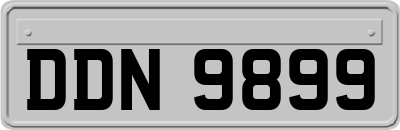 DDN9899