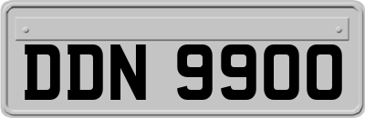 DDN9900