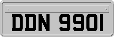 DDN9901