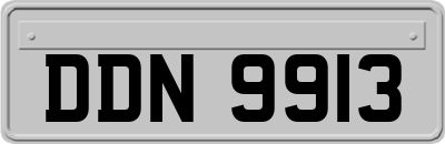 DDN9913