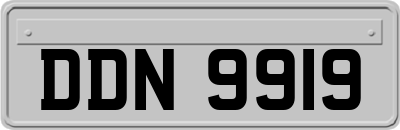 DDN9919