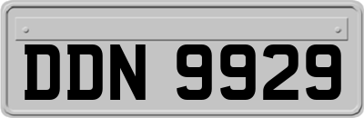 DDN9929