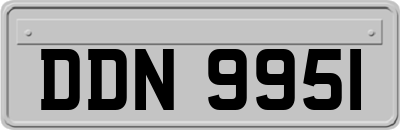 DDN9951