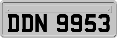 DDN9953