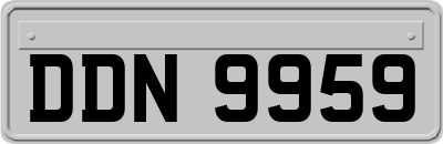 DDN9959