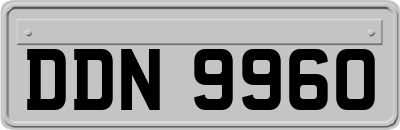DDN9960