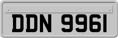 DDN9961