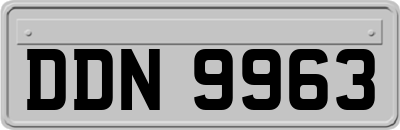 DDN9963