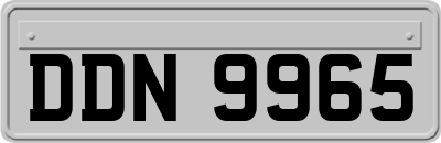 DDN9965