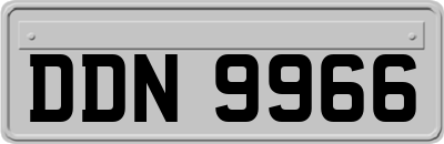 DDN9966
