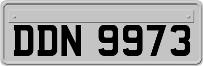 DDN9973