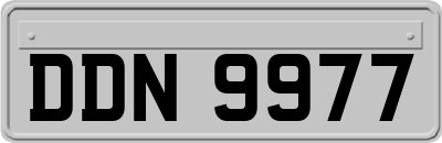 DDN9977