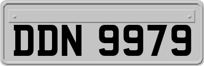 DDN9979
