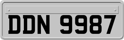 DDN9987