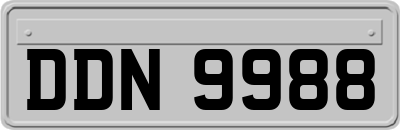 DDN9988