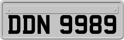 DDN9989