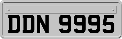 DDN9995