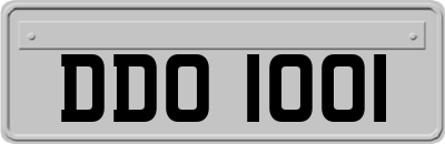 DDO1001