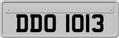 DDO1013