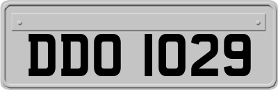 DDO1029