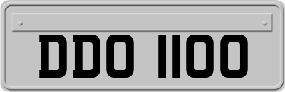 DDO1100