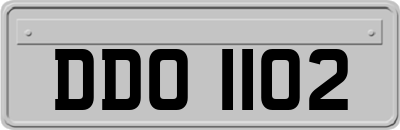 DDO1102