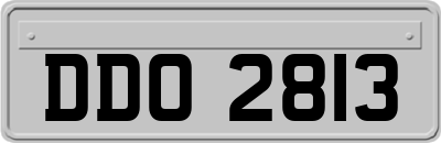 DDO2813