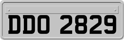 DDO2829