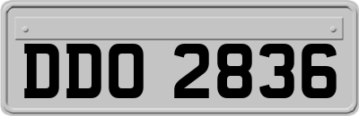 DDO2836