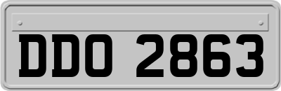 DDO2863
