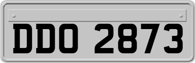 DDO2873