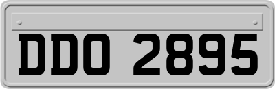 DDO2895