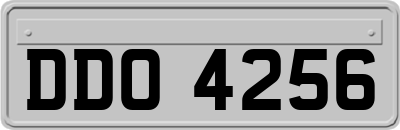 DDO4256