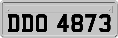 DDO4873