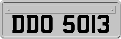 DDO5013