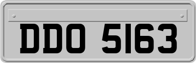 DDO5163