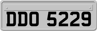 DDO5229