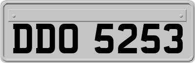 DDO5253