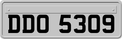 DDO5309