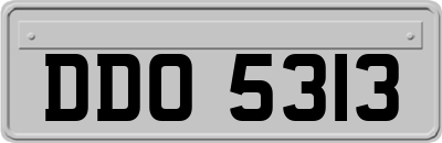 DDO5313