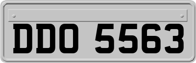 DDO5563