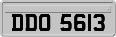DDO5613