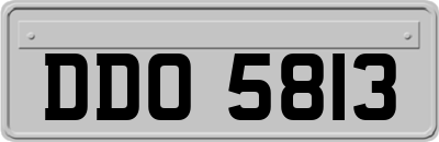 DDO5813