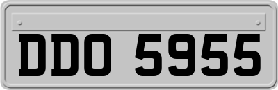 DDO5955