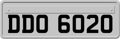 DDO6020