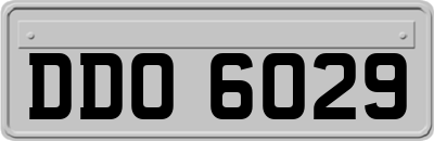 DDO6029