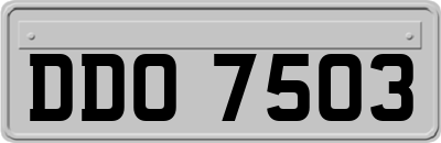 DDO7503