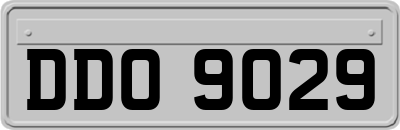 DDO9029