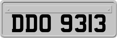 DDO9313