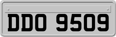 DDO9509